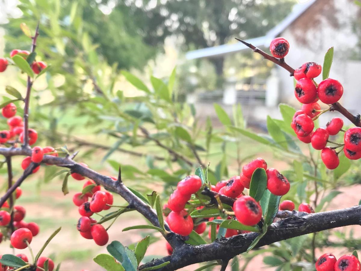 Rose Cottage @ Gods' Haven Eco Estate 언더버그 외부 사진